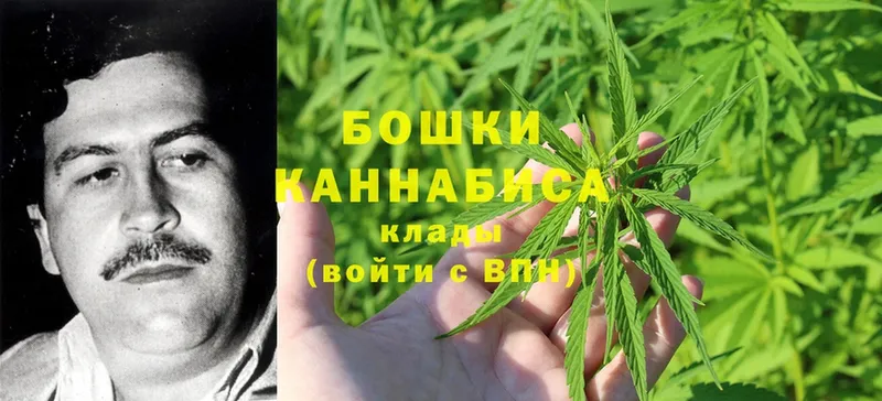 Бошки марихуана White Widow  Алагир 